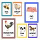 Flash cards - farmářská zvířata 2