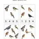 Ptáci v zimě - obrázky, diskusní karty, pracovní listy, aktivity, skládačky 4
