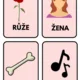 Podstatná jména – RODY A VZORY – přehledy do třídy a pro žáky 8