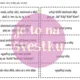 Slovní druhy - lapbook 4
