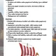 Vikingové 2