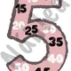 Násobilka 5 3