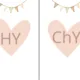BOHO výzdoba třídy měkké a tvrdé souhlásky 2