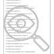 MATEMATIKA: Úvod do výrazů - Pracovní listy s řešením 5