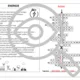 CHEMIE: Opakujeme po Vánocích: Křížovka (Energie, Baterie, Elektrolýza) 6