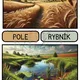 DOMÁCÍ A VOLNĚ ŽIJÍCÍ ZVÍŘATA 5