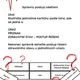 Úniková hra - PRVNÍ POMOC 9