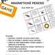 PEXESO - Magnetické pole 3