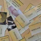 výuková hra typu domino HOUBY, PLÍSNĚ, KVASINKY 3