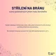 Fotbal - vzory podstatných jmen rodu ženského 2