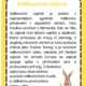 Velikonoce 2