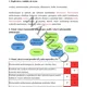 Reprodukční zdraví - pracovní listy + edukační karty  3