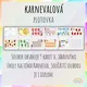 Karnevalová plotovka 2