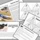 JARO - PTÁCI A MATEMATIKA - POZNÁVÁNÍ A HLEDÁNÍ MLÁĎAT - NUMERACE DO 1000 2