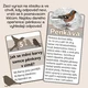 Ptáci u nás - stezka, projekt, čtení, výtvarka🐤🐓🐦 4