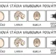 HOVNIVÁL (vruboun posvátný) - vývojový cyklus 2