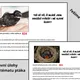JARO - PTÁCI A MATEMATIKA - POZNÁVÁNÍ A HLEDÁNÍ MLÁĎAT - NUMERACE DO 1000 7
