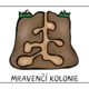 MRAVENEC - vývojový cyklus 2