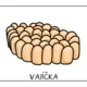 BEZOBRATLÍ ŽIVOČICHOVÉ - vývojová stádia 3