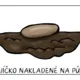 BEZOBRATLÍ ŽIVOČICHOVÉ - vývojová stádia 5