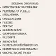 Jaro s včelkou 2