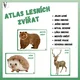 Lesní zvířata + Ptactvo  3