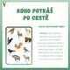 Lesní zvířata + Ptactvo  8