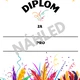 Karneval - diplomy a medaile 4