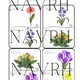 FLOWERS - flashcards, I have. Who has? - 2 varianty hry 3