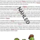 Skotsko 5