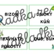 Expedice za podnebnými pásy 4