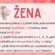 Vzory podstatných jmen 3