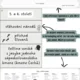 O jazyce (Jazyk a komunikace, Útvary národního jazyka, Indoevropské jazyky, Vývoj českého jazyka) 5