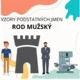 VZORY PODSTATNÝCH JMEN - SOUBOR 3 MATERIÁLŮ 4