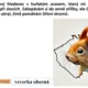 AZ KVÍZ: Hurá do Čech za zvířaty! 2