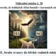 AZ KVÍZ: Hurá do Čech za zvířaty! 3