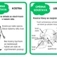 Lidské tělo - informační karty 6