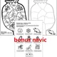 Omalovánkový sešit k pohádce Myška a makovice 5