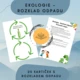 Rozklad odpadu - Nauč se, co příroda (ne)zvládne 2