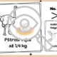 Výzdoba třídy, chodby, učebny: Matematické protiklady - fascinující čísla 7