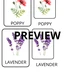 Education Materiál: Flowers 🌹🌺 3