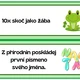 Šipkovaná - hra nejen pro děti 4