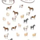🐄 Týden na farmě – hospodářská zvířata 🚜 4