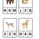 Lesní zvířata 🦊🐾 5