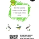 Vítej, jaro! Jarní plotovka s žabákem Emanem a QR kódy pro MŠ 6
