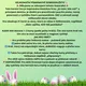 🐰VELIKONOČNÍ PÍSMENKOVÉ DOBRODRUŽSTVÍ 🐰🥚 2