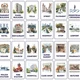 CITY | English flashcards | Obrázkové karty v angličtině 4