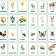 SPRING AND EASTER - ENGLISH FLASHCARDS | obrázkové karty v angličtině 2