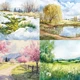 SPRING AND EASTER - ENGLISH FLASHCARDS | obrázkové karty v angličtině 4