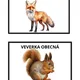 Lesní zvířata 🦊🐾 2